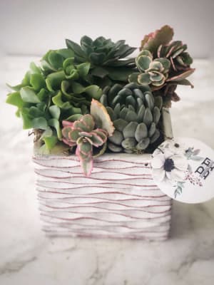 I love Succulents Flower Bouquet