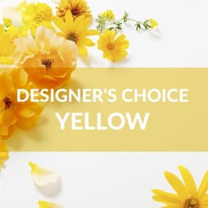 Designer's Choice: Yellow