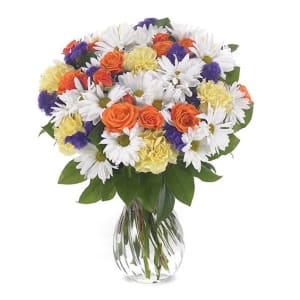 Daisy Delight Flower Bouquet