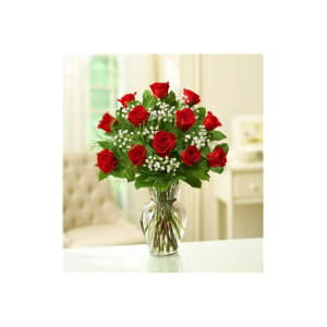 1 Dozen Classic Rose Vase