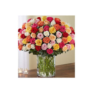 100 Premium Long Stem Multicolored Roses