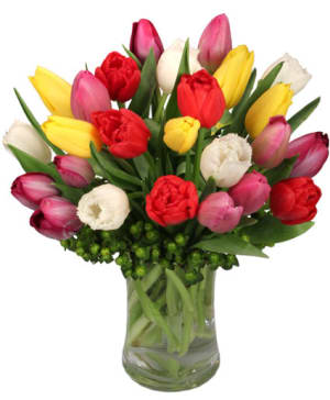 Tip Top Tulips Bouquet Flower Bouquet