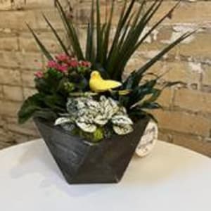 Small Tropical Planter Flower Bouquet