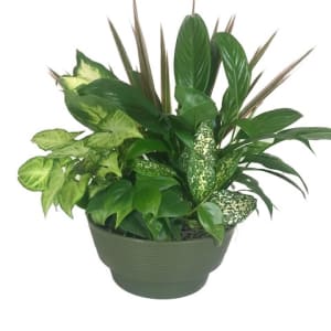 Lush Garden Of Green Plants Flower Bouquet