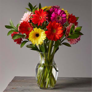 Sunkissed Gerbera Bouquet Flower Bouquet