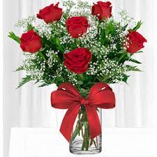 Half Dozen Red Roses in a Vase Flower Bouquet