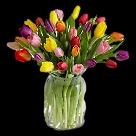 Daylily Spring Tulips Flower Bouquet