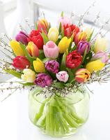 SWEET TULIPS Flower Bouquet