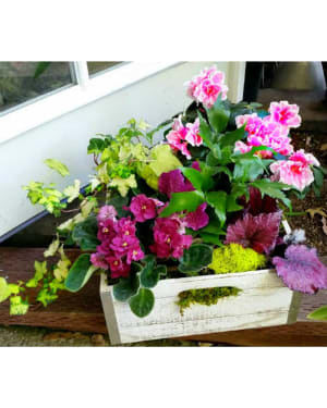 Garden lovers 3 Flower Bouquet