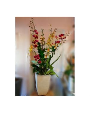 Tall and Handsome Flower Arrangement Tall and Handsome Flower Bouquet