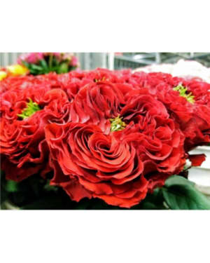 Valentines Day 2018 Flower Bouquet