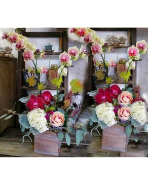 Orchid Plant w/cut flowers Flower Bouquet