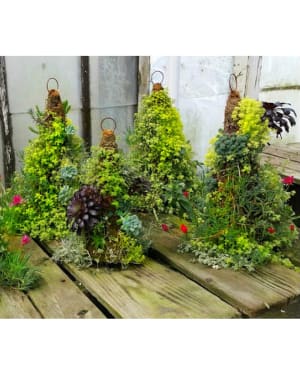 succulent cone hanging plants Flower Bouquet
