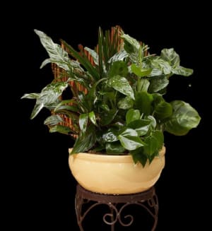 Classic Ceramic Planter Flower Bouquet