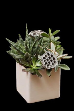 Succulent Planter Cube Flower Bouquet