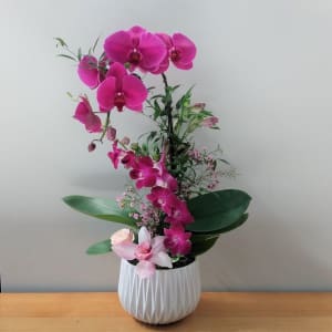 Orchids and Flowers - Purple Combination Arrangement 