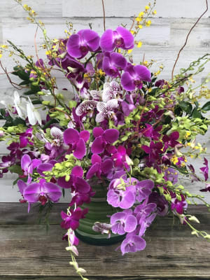 Orchid Remembrance