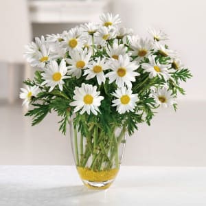 Daisy Daze Flower Bouquet