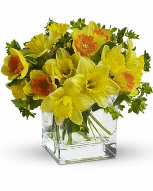 Teleflora's Daffodil Dreams Flower Bouquet