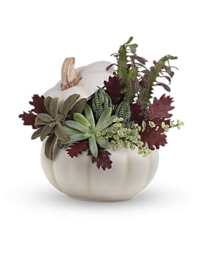 Teleflora's Spooky Succulent Garden Flower Bouquet