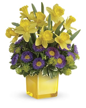 Teleflora's Playful Springtime Daffodil Bouquet Flower Bouquet