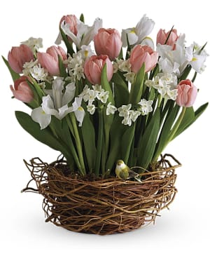 Tulip Song Flower Bouquet