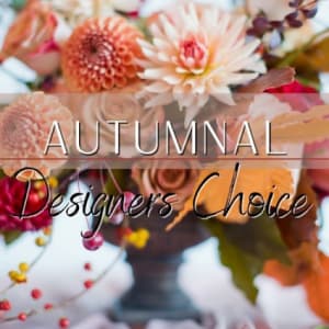 Autumnal Designer's Choice