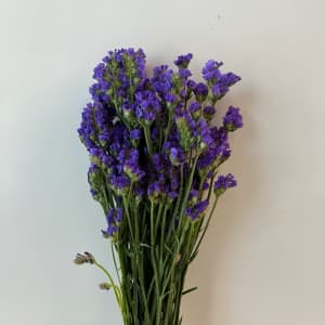 Purple Statice Flower Bouquet
