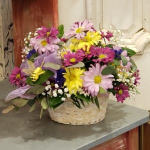 Daisy a Day Flower Arrangement Daisy a Day Flower Bouquet