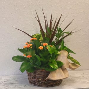 Medium Tropical Garden Basket Flower Bouquet