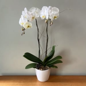 Large Double White Orchid Flower Bouquet