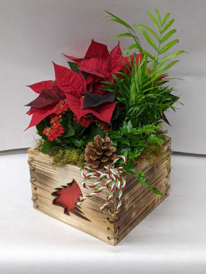 Talisman's Tree Christmas Planter Flower Bouquet