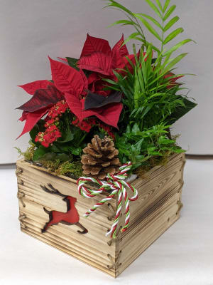 Talisman's Deer Christmas Planter Flower Bouquet