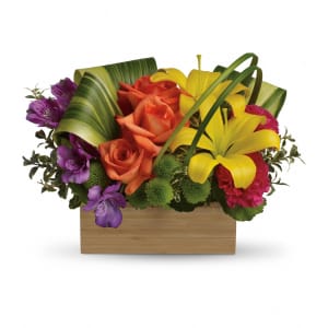 Teleflora's Shades Of Brilliance Bouquet Flower Bouquet