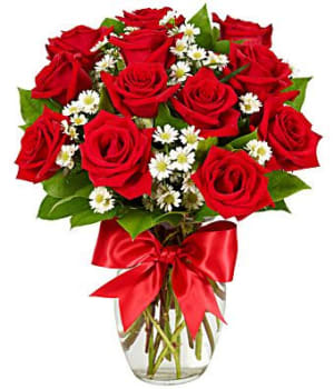 Premium Long Stem Red Roses Flower Bouquet