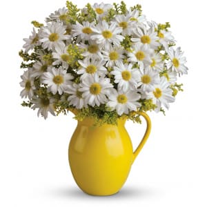 Teleflora's Sunny Day Pitcher of Daisies Flower Bouquet