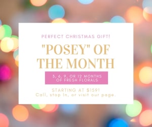Posey of the Month - 3 months Flower Bouquet