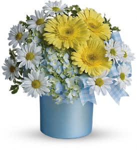 Teleflora's Once Upon a Daisy Flower Bouquet