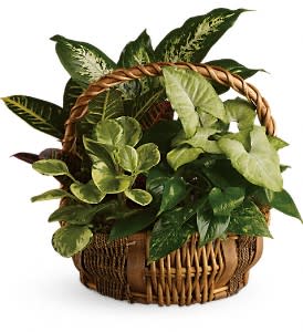 Emerald Garden Basket Flower Bouquet