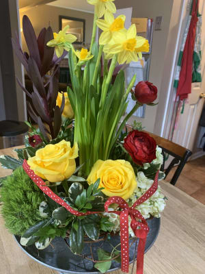 Daffodil Spring Bowl Flower Bouquet