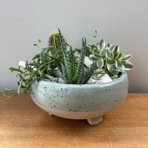 Small Succulent Planter Flower Arrangement Small Succulent Planter Flower Bouquet
