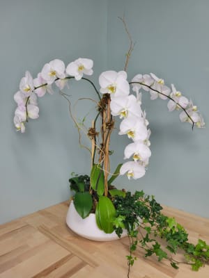 Orchid Garden Flower Bouquet