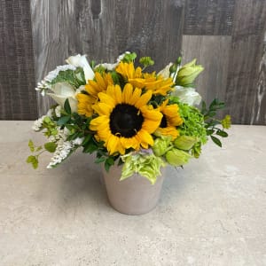 Classic Sunflowers