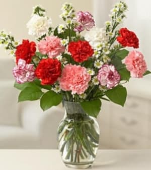 One Dozen Carnations Flower Arrangement One Dozen Carnations Flower Bouquet