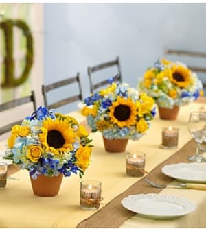 Country Wedding Centerpiece Package Flower Bouquet