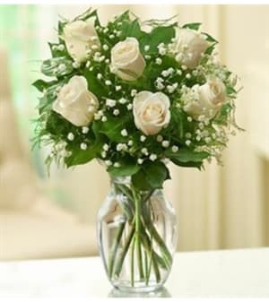 Rose Elegance™ Premium White Roses - 1/2 Doze Flower Bouquet