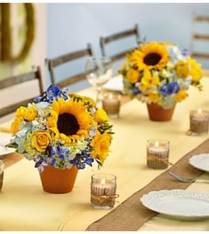 Country Wedding Centerpiece Package Flower Bouquet