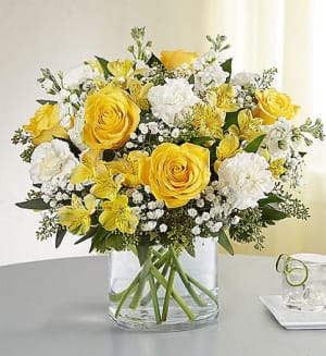 Yellow and White Delight