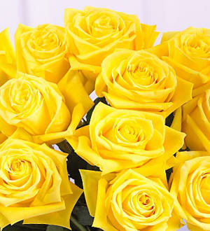 12 Yellow Roses Wrapped Flower Bouquet