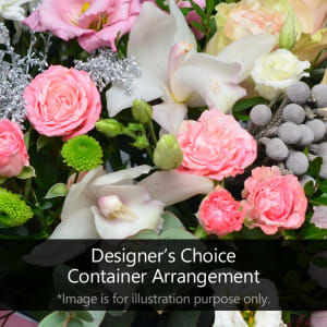 Designer's Choice Container Arrangement Sandra496 Flower Bouquet